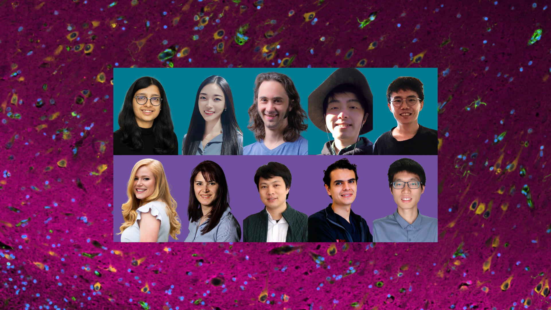 Cuny Janssen　クニー・ヤンセン　Finding Thoughts Option A - 2025 Postdocs (